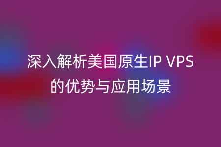 深入解析美国原生IP VPS的优势与应用场景