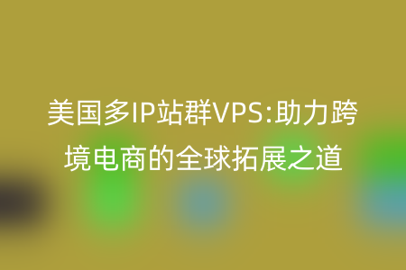 美国多IP站群VPS:助力跨境电商的全球拓展之道